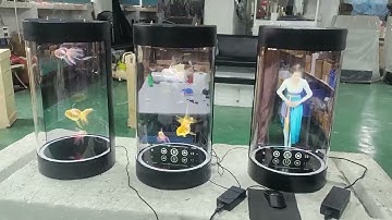 21.5inch Lcd Screen 3D Hologram Display Cylindrical Ai deepseek/chat gpt Interaction