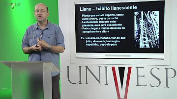 O que é o hábito da planta?