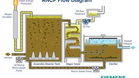 Siemens ANCP Animation