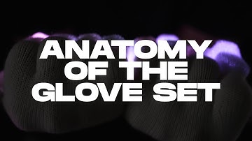 Anatomy of the Glove Set
