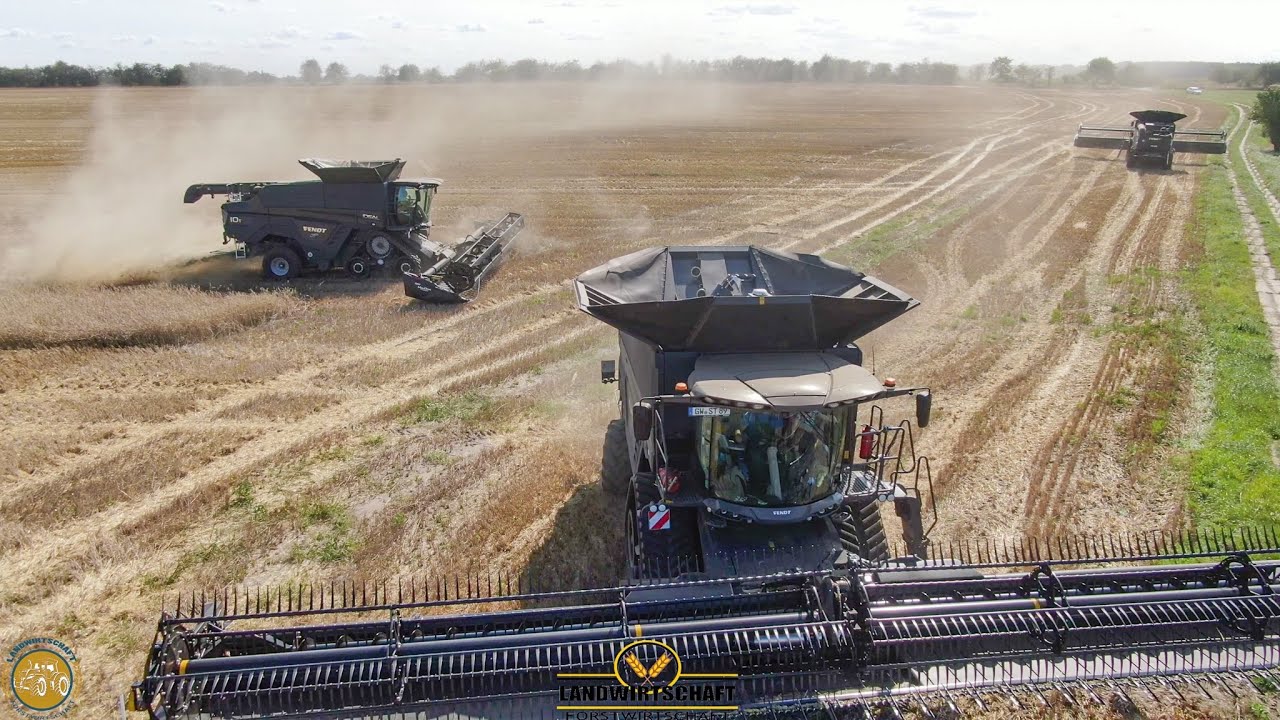 Mähdrescher Fendt IDEAL  - Getreideernte 2020  Schwarzes Monster in der Landwirtschaft  Großeinsatz