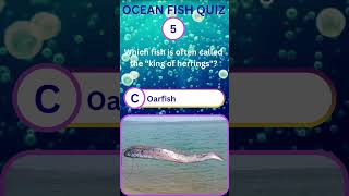 🐠 Ocean Fish Quiz Challenge #2 | Can You Name These Amazing Sea Fish? 🌊