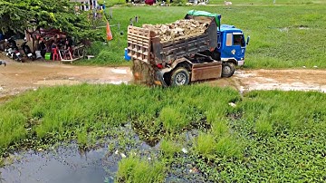 Landfill Task! Filling Old Pond by D20P Dozer Push Stone with 5T Dump Truck