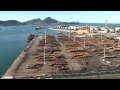 Forestry and Wood - Northland, New Zealand