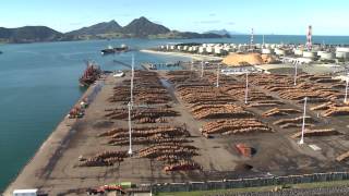 Forestry and Wood  Northland, New Zealand