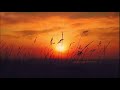 Soothingly Soft Nighttime Nature Sounds To Help You Sleep – Relaxing Night Ambience  1 hour