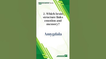 A Science Playground for Your Brain - 1-Minute Science Quiz (83)