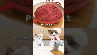 Mama wants some pink salt #thatlittlepuff #ChefPuff #catsofyoutube