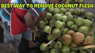 Awesome Coconut Cutting Skills | Daging Kelapa Muda | Indonesia