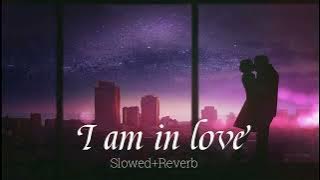 I Am In Love - Slowed Reverb | Yeh Dil Aashiqana | Kumar Sanu & Alka Yagnik