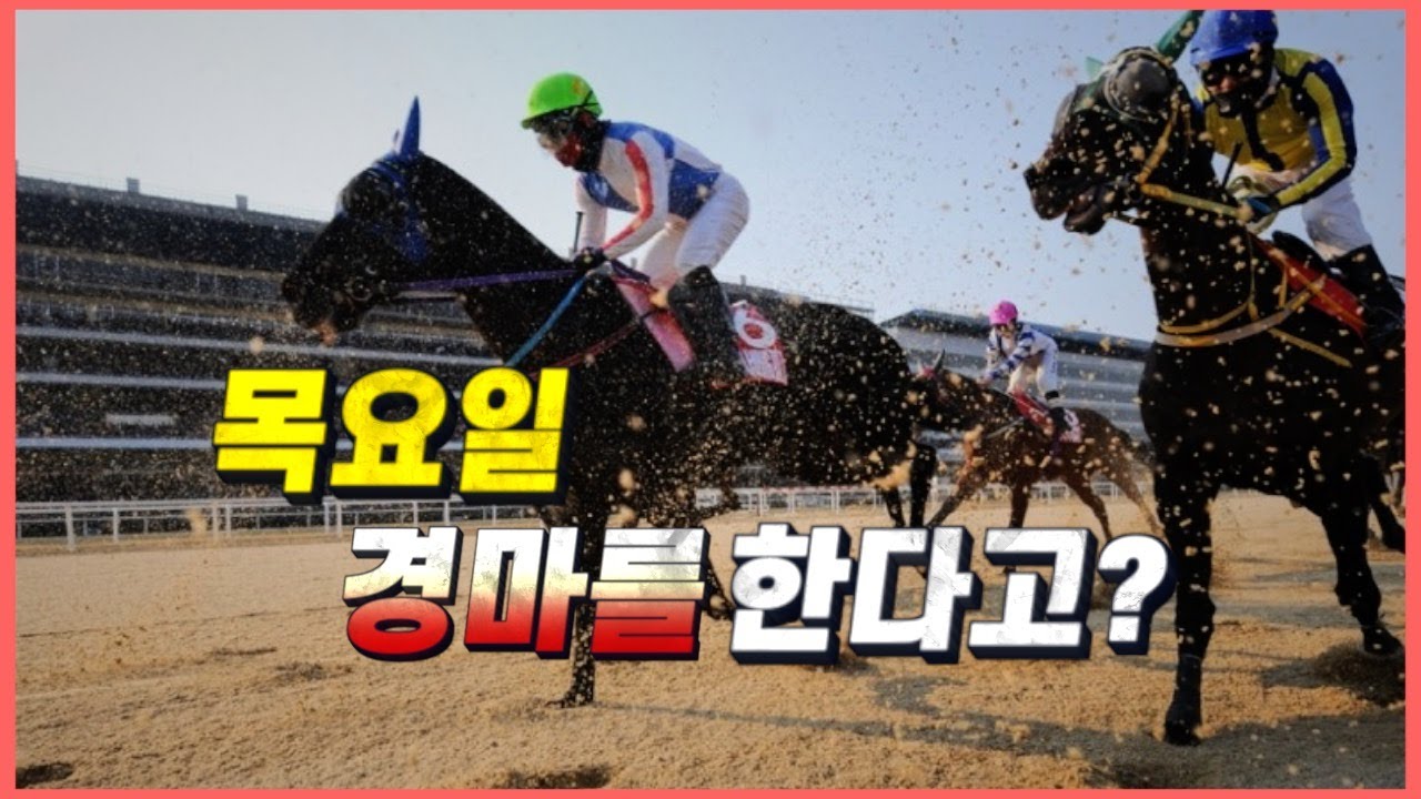 빠르게 살펴보는 2025년 경마 정보들!