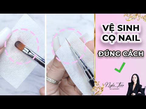 Cách vệ sinh