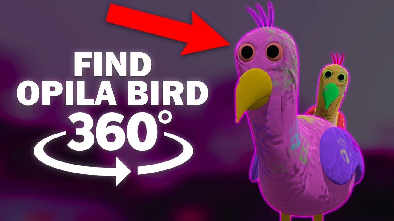 Find Hidden Cyan Opila Bird in 360°/VR! 