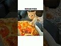 #funny # meemes
