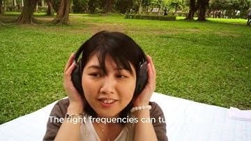 Unleashing the Power of Vibration  How Motion