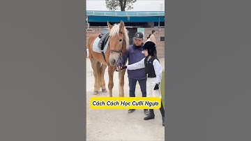 Cách Cách Học Cưỡi Ngựa 🐎😂#shorts #shortsvietnam #haihuoc #bientv #thuthach24h