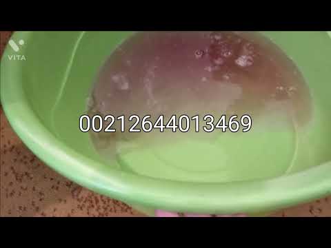 استفراغ سحر مشروب خطير بدم النجسات في الحصة الأولى بإدن الله الراقي رشيد لوزير هذا بفضل الله 