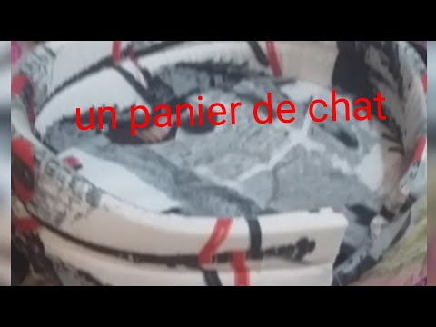 Vidéo: Comment Coudre Un Chat