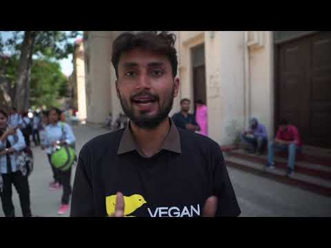 Spreading Veganism in India | Vegan Outreach