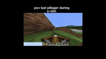 POV last pillager during a raid: