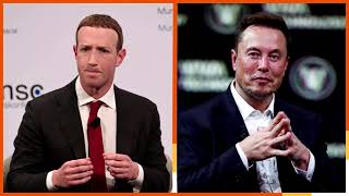 Elon Musk, Mark Zuckerberg agree to a cage match Elon Musk, Mark Zuckerberg agree to a cage match