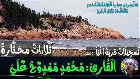 الشيخ محمد ممدوح علي  ماتيسر من سورة القيامه والشمس والفاتحه واول البقره تسجيلات 2019