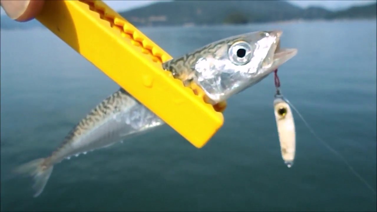 海釣り公園で小物のルアー釣り マイクロメタルジグ編 Youtube