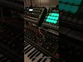 Synthetic Druma