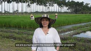 International Women's Day 2023: Maria Fernanda Álvarez, scientist working on rice