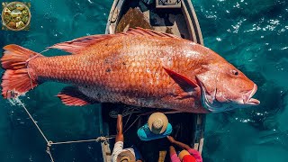 Giant Red Snapper fishing, How fishermen catch millions of giant Red Snapper fish - Emison Newman
