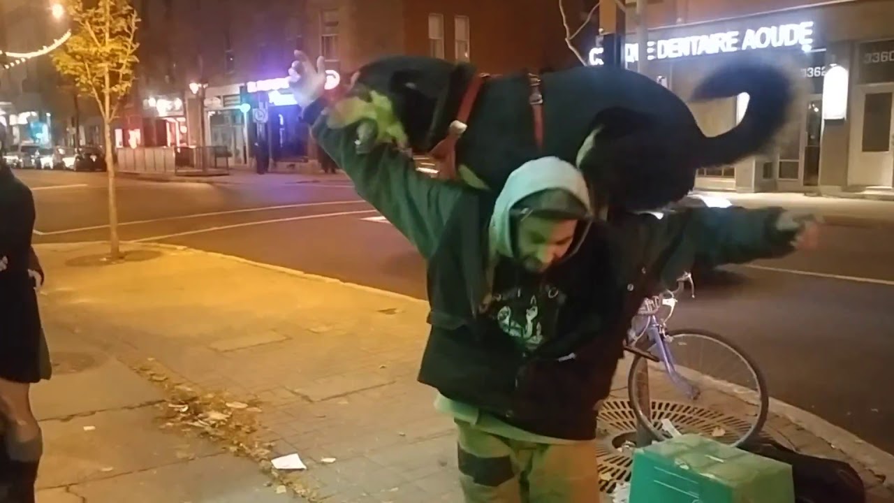 Montréal street punk with trained dog