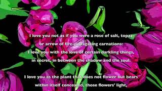Sonnet XVII from "100 Love Sonnets" by Neruda, read in Spanish and in My English Translation