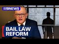 Albanese government considers urgent domestic violence reforms | 9 News Australia