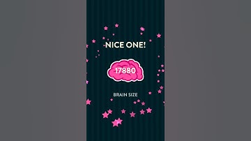 Wordbrain Monkey 5 | Cheats for Wordbrain