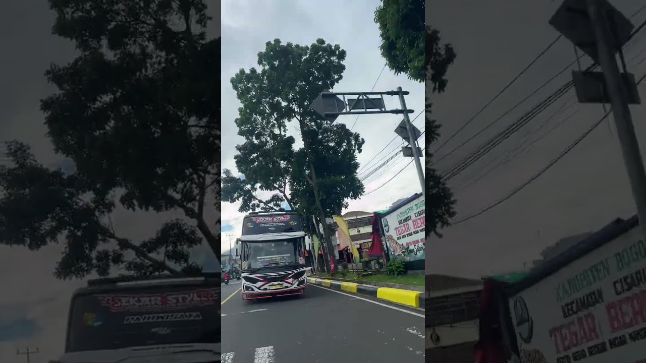 Ngoyod asiik Bus basuri viral SEKAR STYLE 💃 