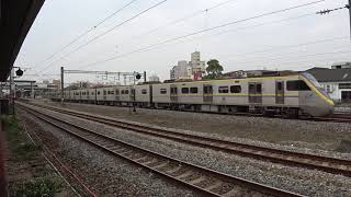 2234次區間車與127次普悠瑪在斗南車站交會 20210303