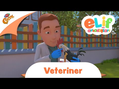 ELİF VE ARKADAŞLARI | VETERİNER | TRT ÇOCUK