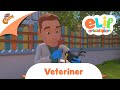 ELİF VE ARKADAŞLARI | VETERİNER | TRT ÇOCUK