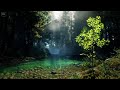 Gentle Tropical Water Sounds for Sleep and Stress Relief | Jungle River Ambience