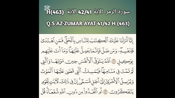 سورة الزمر  الآية 42/41 الآية  (463)H