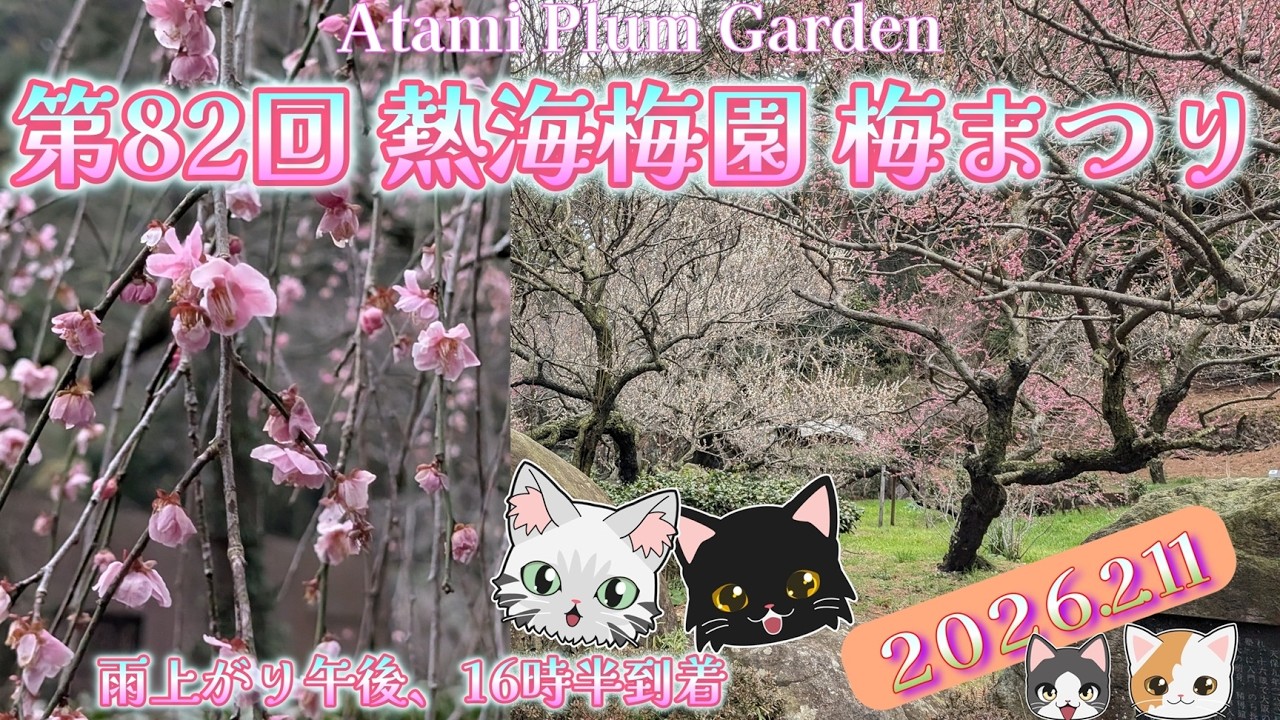 【熱海梅園】第82回梅まつり【2026.2.11】