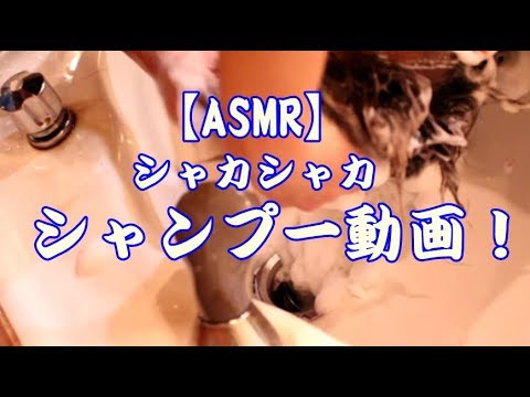 【ASMR】シャカシャカ気持ちいい～シャンプー動画！現役美容師【binaural shampoo natural sounds】