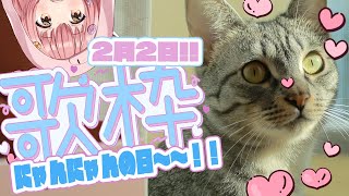 🌻【久々の歌枠！】(｢ 'ω')｢にゃんにゃんの日🍖