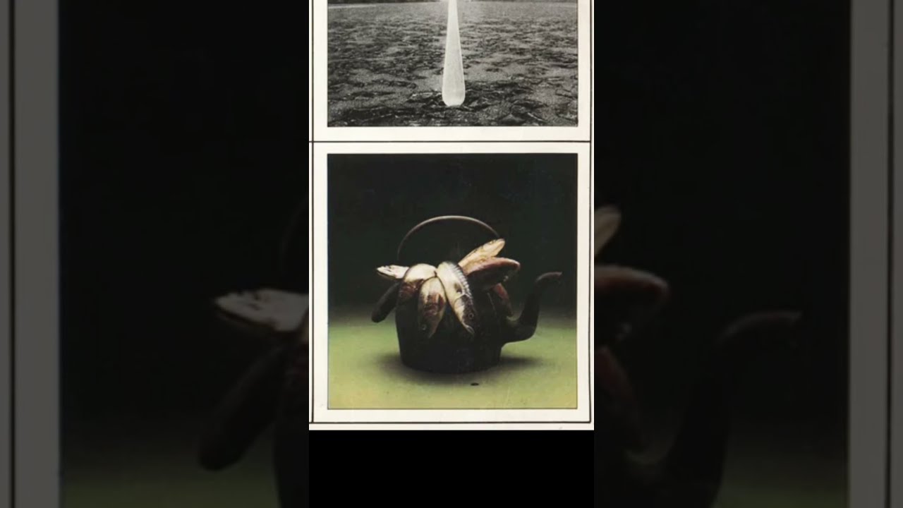 洋楽 PINK FLOYD/ A NICE PAIR 81oglbMExqL._UF1000,1000_QL80_.jpg