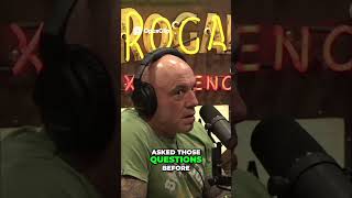 Alex the Parrot  Existential Questions & Amazing Brain