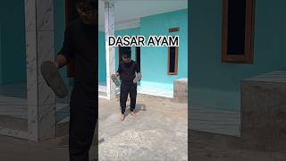 dasar ayam #funny #comedy #ngakak #lucu