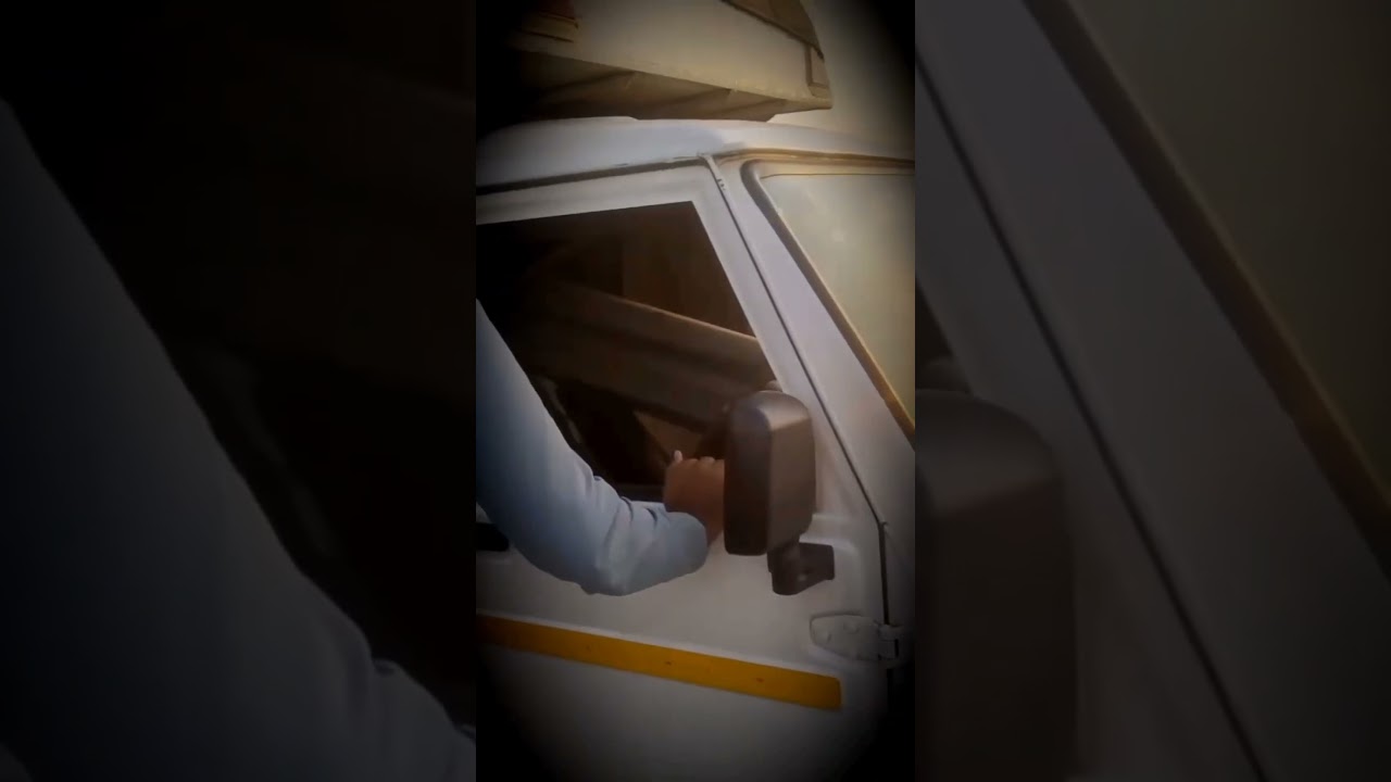 Scarface, the famous lion from Kenya's Maasai Mara National Reserve, died on June 11, 2021