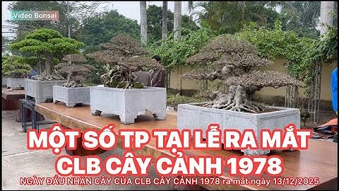 NGÀY ĐẦU NHẬN CÂY CỦA THÀNH VIÊN CLB CÂY CẢNH 1978 chuẩn bị cho LỄ RA MẮT NGÀY 13/12/2025 xắp tới.