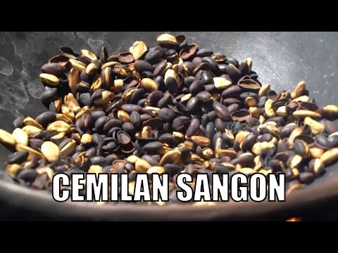 Video: Cara Menggoreng Biji