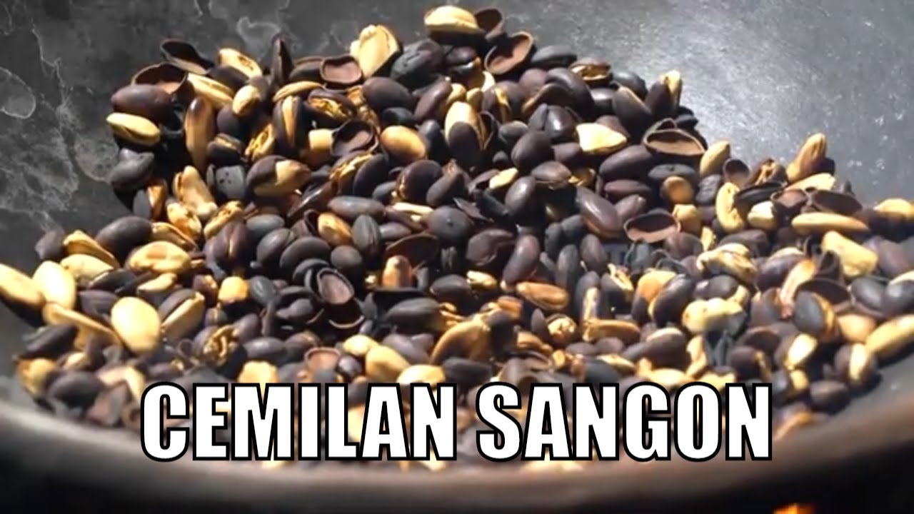 Membuat Cemilan Dari Sengon BOCAH PETUALANG YouTube